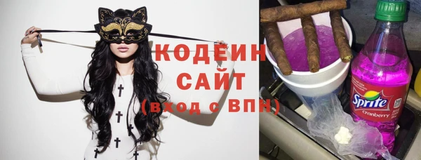 хмурый Алексин