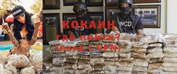 хмурый Алексин