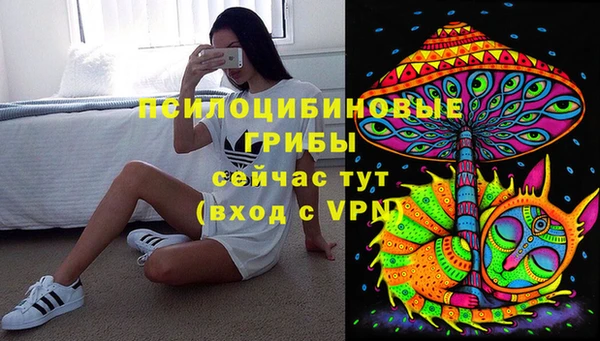 хмурый Алексин