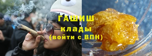 хмурый Алексин